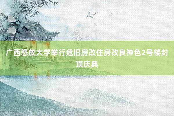 广西怒放大学举行危旧房改住房改良神色2号楼封顶庆典
