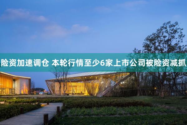险资加速调仓 本轮行情至少6家上市公司被险资减抓