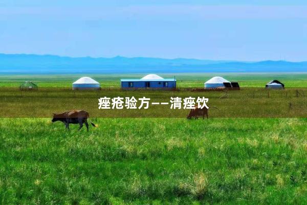 痤疮验方——清痤饮