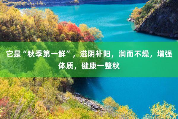 它是“秋季第一鲜”，滋阴补阳，润而不燥，增强体质，健康一整秋