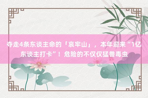 夺走4条东谈主命的「哀牢山」，本年迎来“1亿东谈主打卡”！危险的不仅仅猛兽毒虫