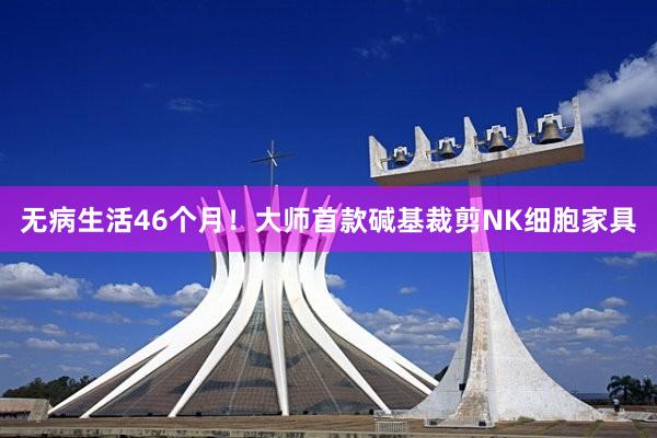 无病生活46个月！大师首款碱基裁剪NK细胞家具