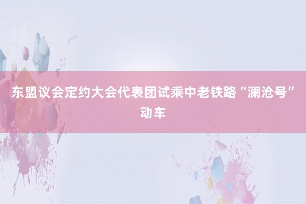 东盟议会定约大会代表团试乘中老铁路“澜沧号”动车