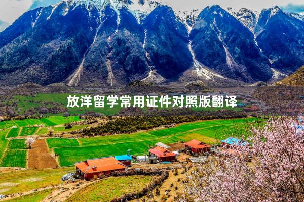 放洋留学常用证件对照版翻译