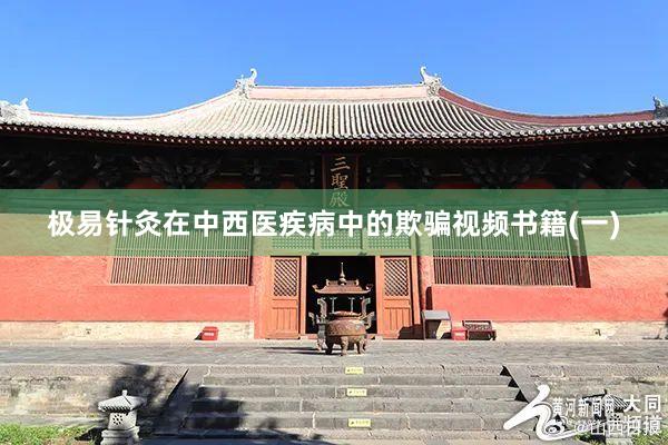 极易针灸在中西医疾病中的欺骗视频书籍(一)