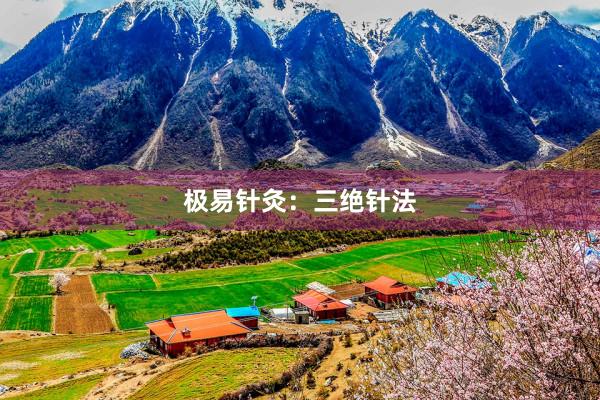 极易针灸：三绝针法