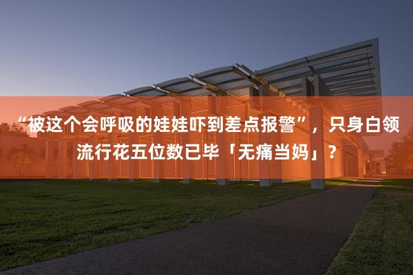 “被这个会呼吸的娃娃吓到差点报警”，只身白领流行花五位数已毕「无痛当妈」？