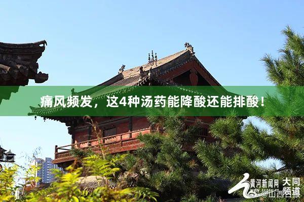 痛风频发，这4种汤药能降酸还能排酸！