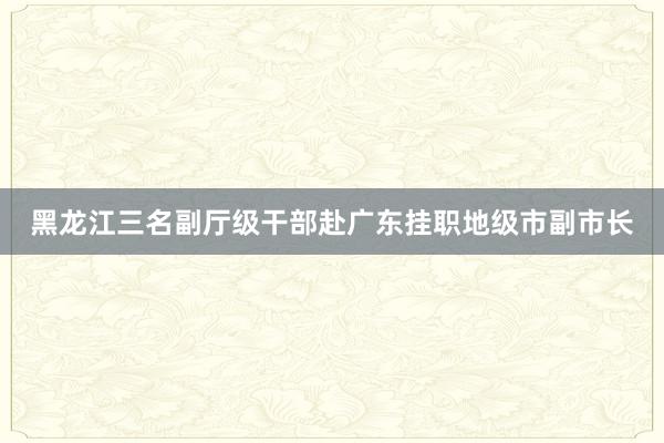 黑龙江三名副厅级干部赴广东挂职地级市副市长