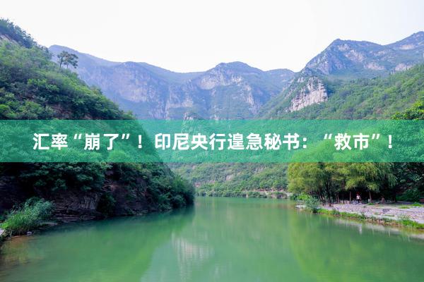 汇率“崩了”！印尼央行遑急秘书：“救市”！