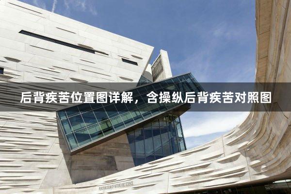 后背疾苦位置图详解，含操纵后背疾苦对照图